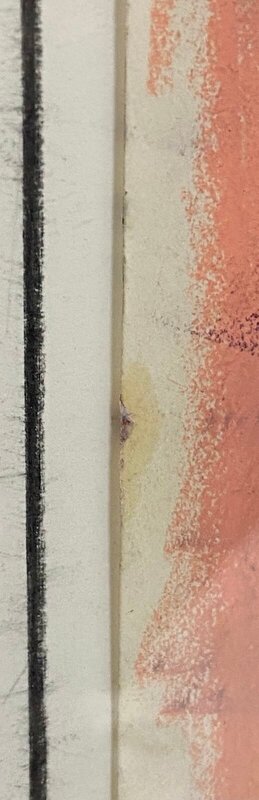Fleurs de Gen Paul, 1967 (vue 4)