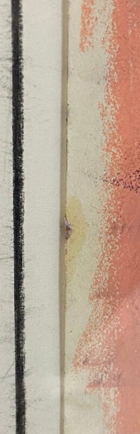 Fleurs de Gen Paul, 1967 (vue 4)