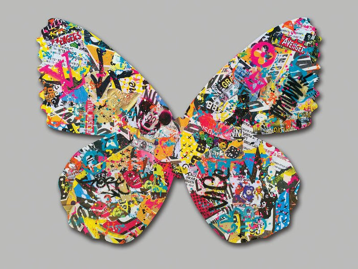 Street Lepidoptera d'Aiiroh, 2016