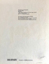 Vedo (I see) de Giulio Paolini, 1969 (vue 2)
