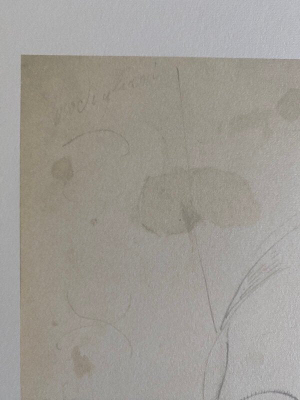 Ritratto di donna by Amedeo Modigliani, 1915 (view 2)