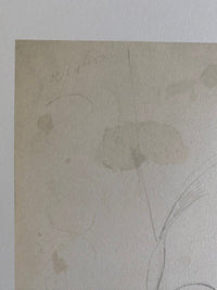 Ritratto di donna by Amedeo Modigliani, 1915 (view 2)