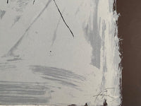 Berlin Suite by Antoni Tàpies, 1974 (view 4)