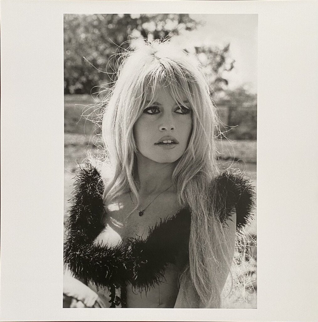 Brigitte Bardot de Léonard de Raemy, 2015