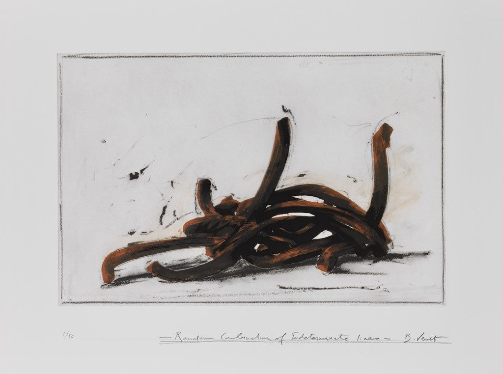 Random Combination of Indeterminate Lines de Bernar Venet, 2019