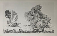 The Chestnut Trees Take-Off (Le Start du châtaignier) de Max Ernst, 1972