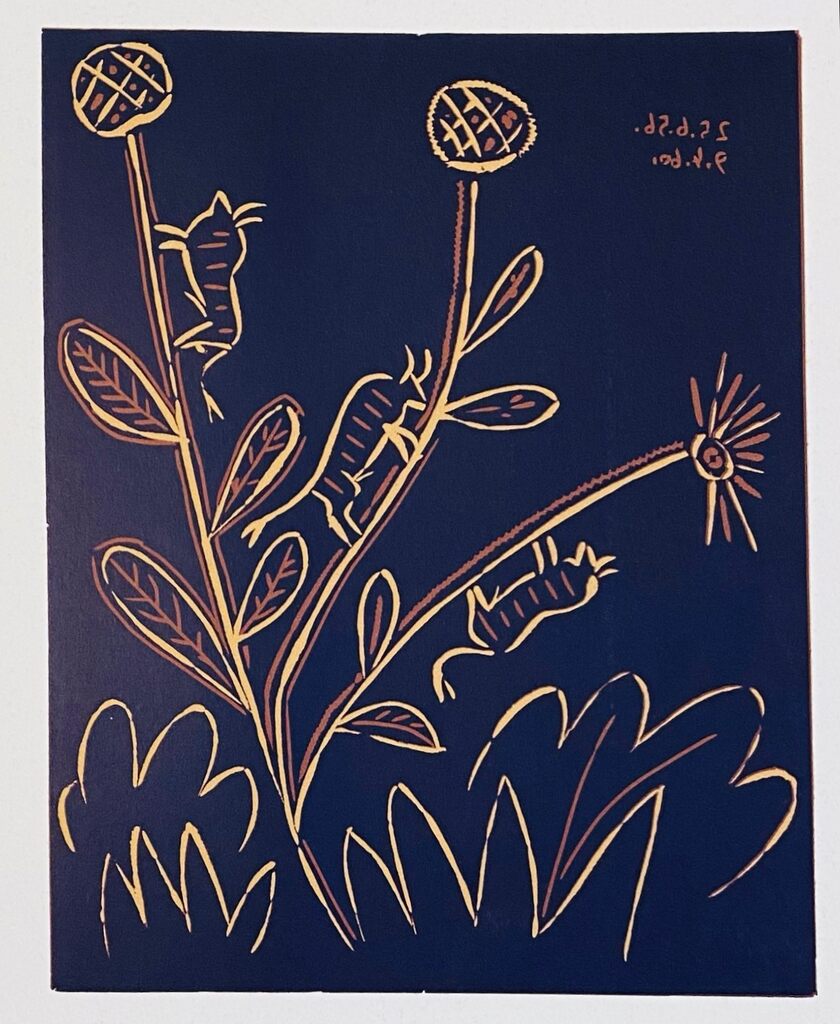 Plante aux Toritos de Pablo Picasso, 1963