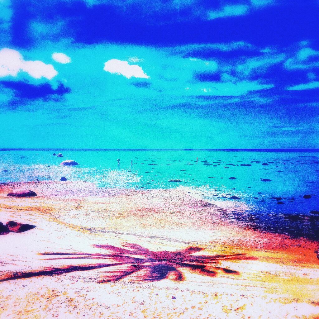 Pacific Palms by Pellarose, 2024