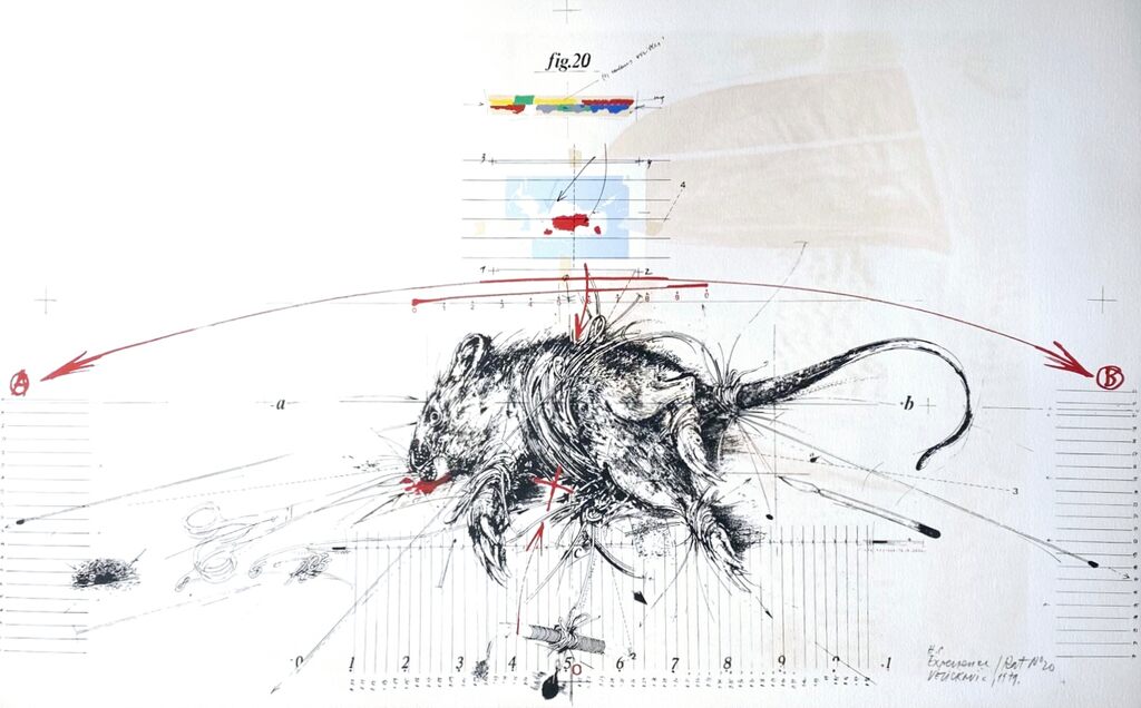 Expérience / Rat n°20 by Vladimir Velickovic, 1974