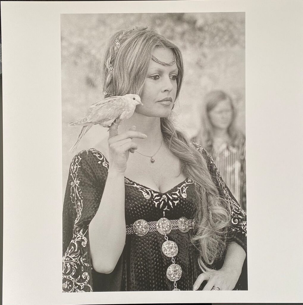 Brigitte Bardot by Léonard de Raemy, 2015