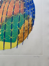 Transfiguration d'un cactus by Man Ray, 1971 (view 3)