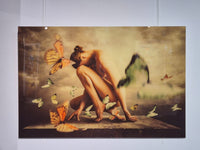 Perch de Jaime Ibarra, vers 2015 (vue 2)