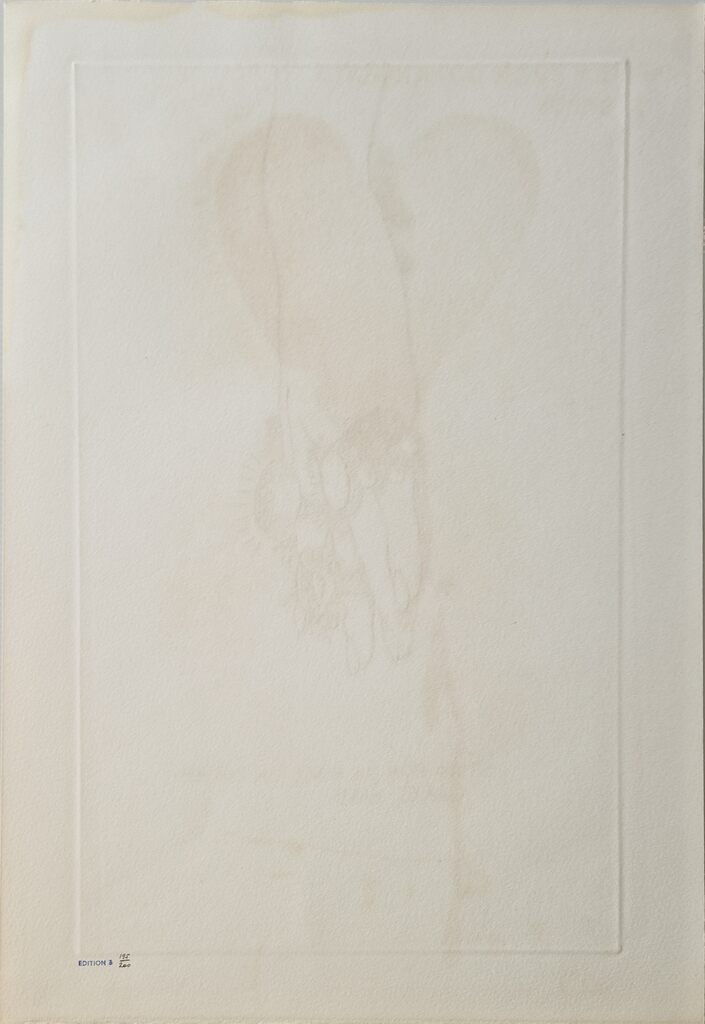 Study for the Rings on Dorian Gray's Hand de Jim Dine, 1968 (vue 5)