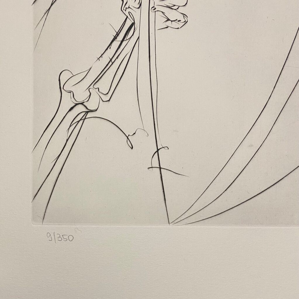 The Old Man and the Sea - The Rod by Salvador Dalí, 1974 (view 4)