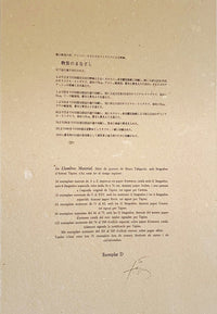 Llambrec Material d'Antoni Tàpies, 1975 (vue 2)