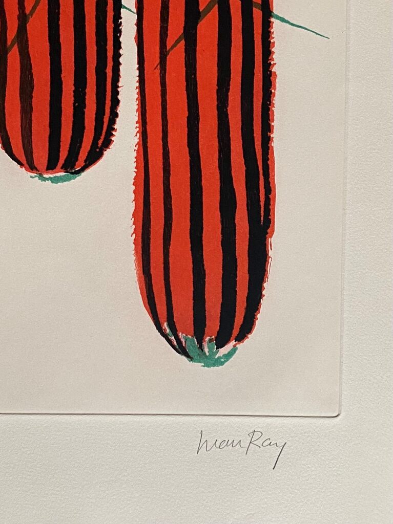 Transfiguration d'un cactus by Man Ray, 1971 (view 3)
