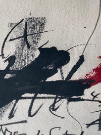 Als Mestres de Catalunya d'Antoni Tàpies, 1974 (vue 4)