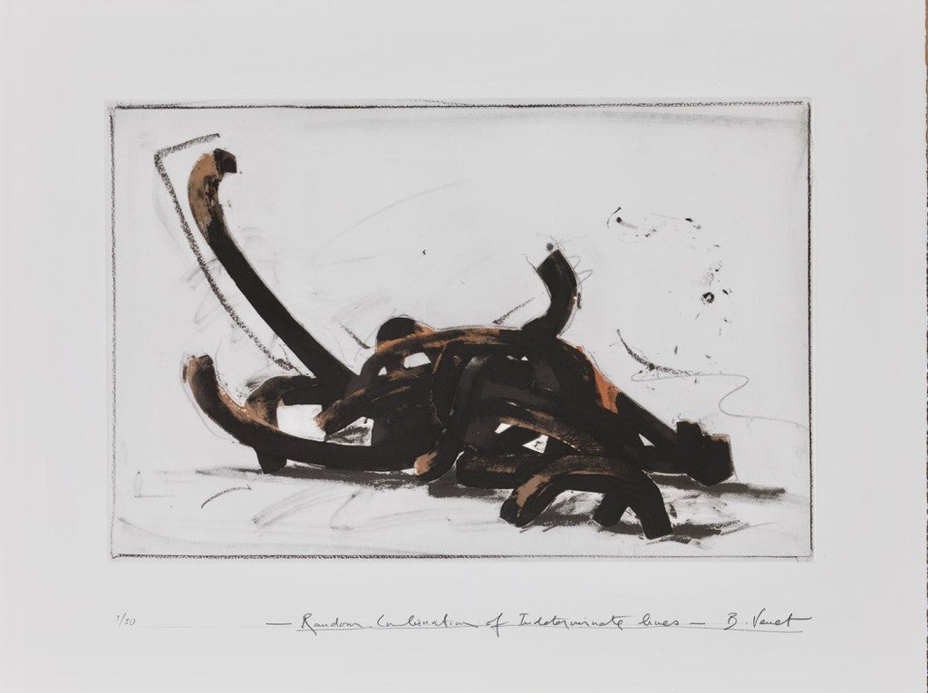 Random Combination of Indeterminate Lines by Bernar Venet, 2019