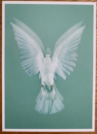 Set of 5 postcards de Damien Hirst, 2024 (vue 3)