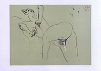 Mythologie sexuelle by André Masson, 1975