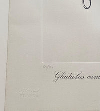 Gladiolus cum aurium corymbo exspectantium by Salvador Dalí, 1972 (view 2)