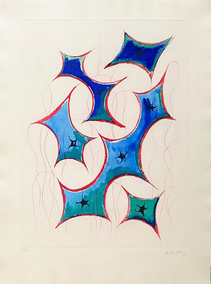 Transfiguration d'un cactus by Man Ray, 1971