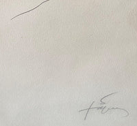 Als Mestres de Catalunya d'Antoni Tàpies, 1974 (vue 2)