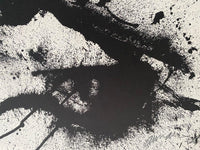 Dracula d'Arman, 1971 (vue 2)