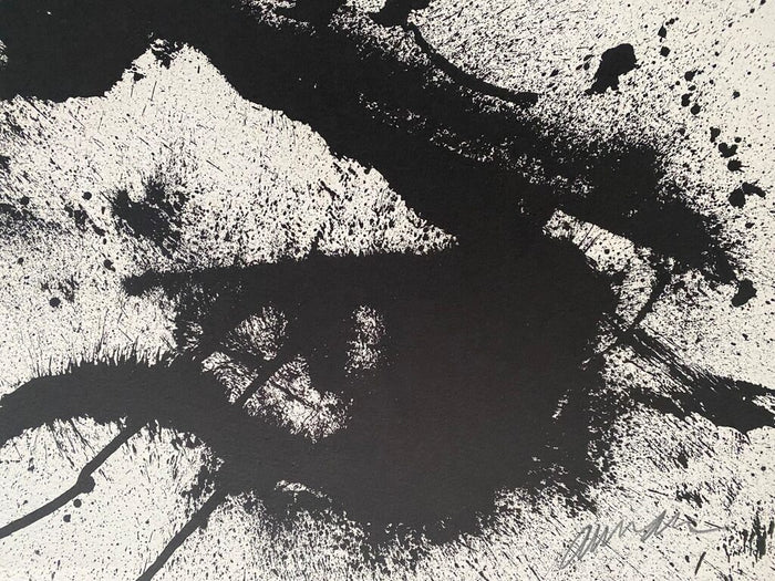 Dracula by Arman, 1971 (view 2)