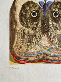 Le Tricorne by Salvador Dalí, 1958 (view 2)