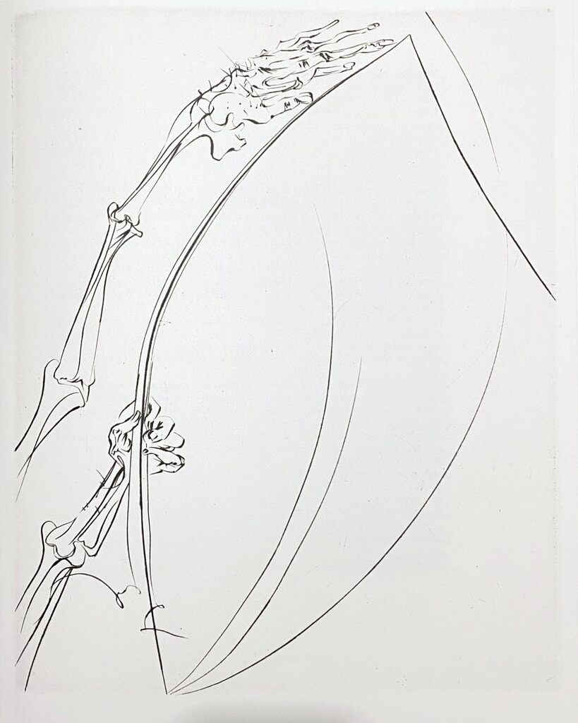 The Rod by Salvador Dalí, 1974