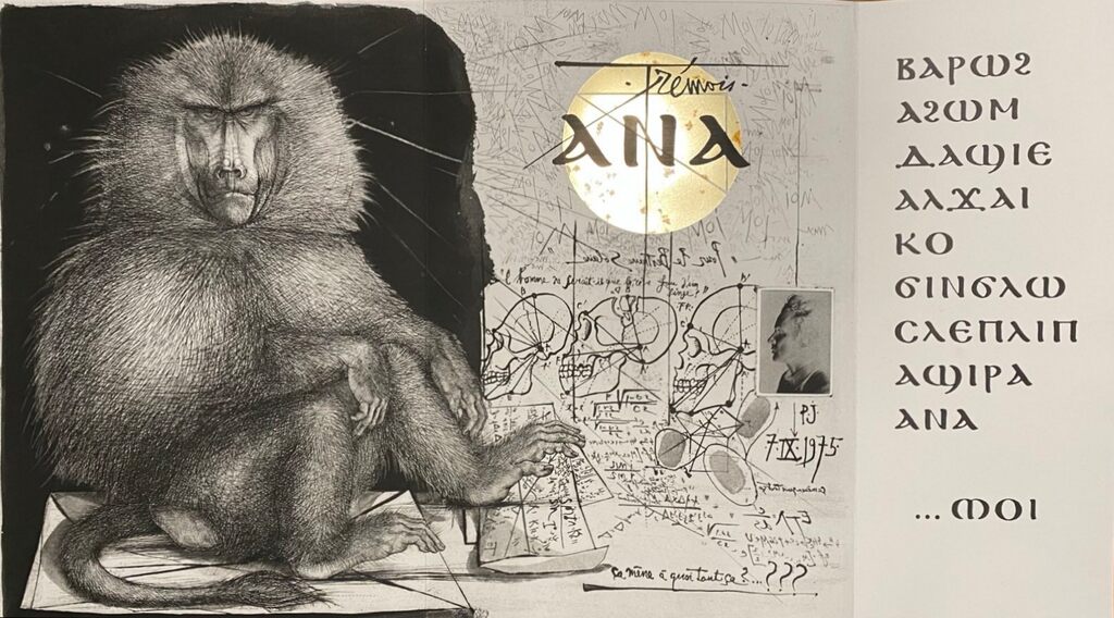 Le Singe (The Monkey) de Pierre-Yves Trémois, 1975