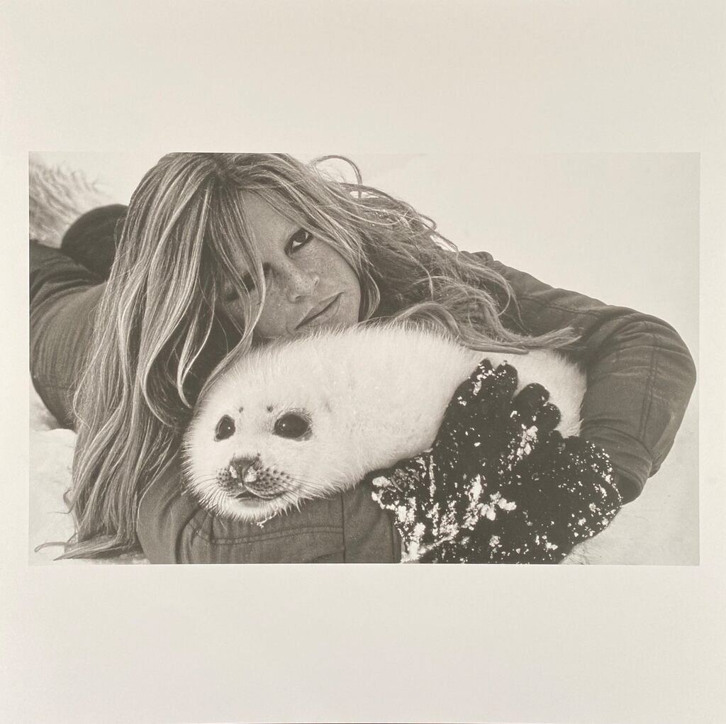 Brigitte Bardot by Léonard de Raemy, 2015