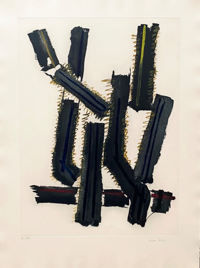 Transfiguration d'un cactus by Man Ray, 1971