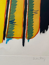 Transfiguration d'un cactus by Man Ray, 1971 (view 2)