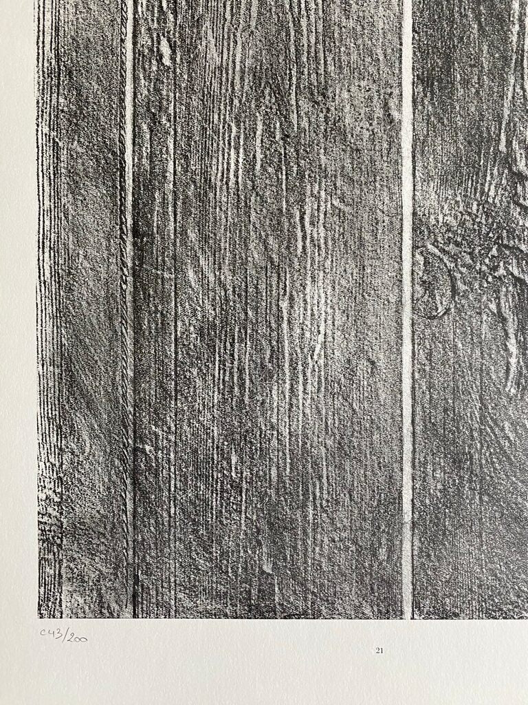 Shaving the Walls (Rasant les murs) by Max Ernst, 1972 (view 2)