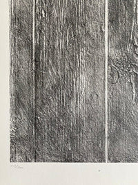 Shaving the Walls (Rasant les murs) by Max Ernst, 1972 (view 2)