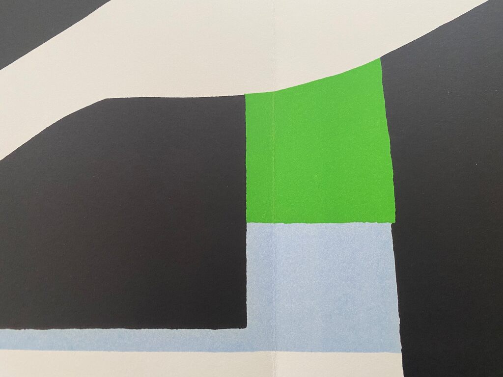 La nageuse dans l'aquarium by Henri Matisse, 2004 (view 2)