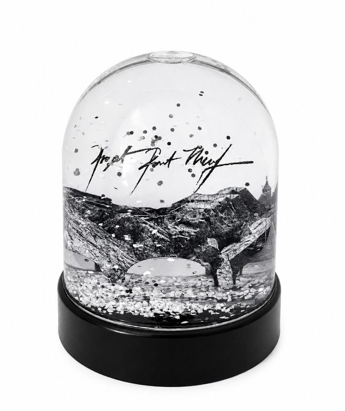 Projet Pont Neuf, Snow Globe de JR, 2026