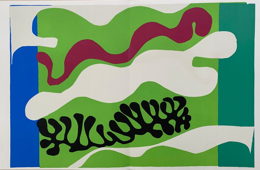Le Lagon (Green) by Henri Matisse, 2004