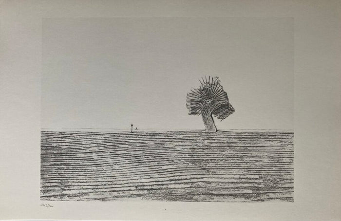 The Pampas (Les Pampas) de Max Ernst, 1972