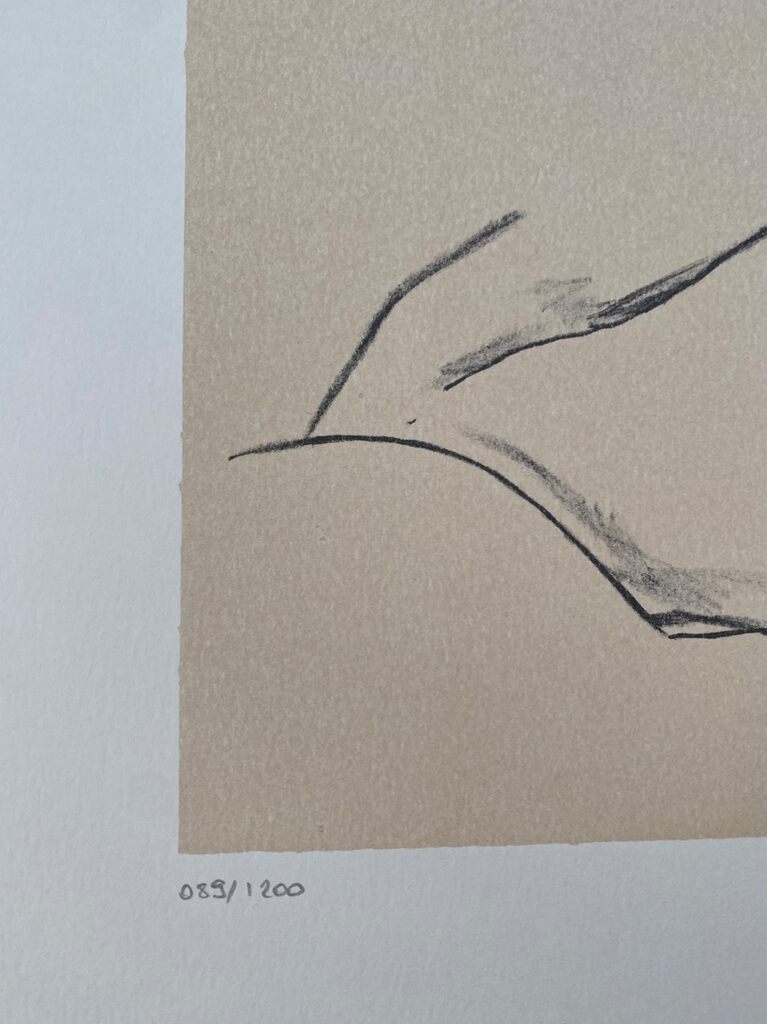 Reclining Nude with raised Torso d'Egon Schiele, 2007 (vue 3)