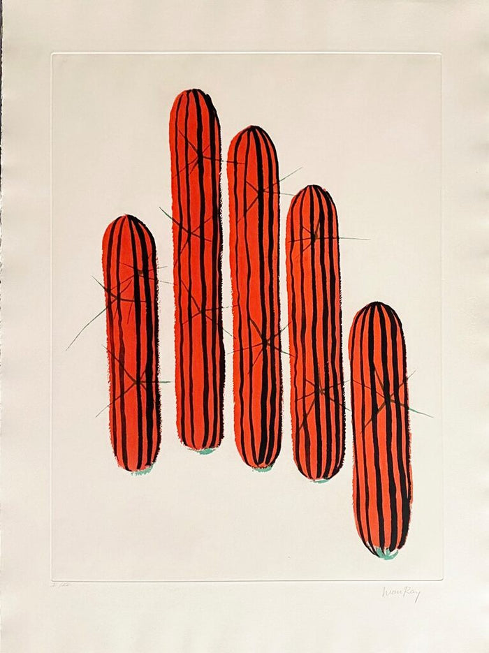Transfiguration d'un cactus by Man Ray, 1971