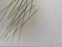 Pastel P.1957-31 by Hans Hartung, 1961 (view 2)