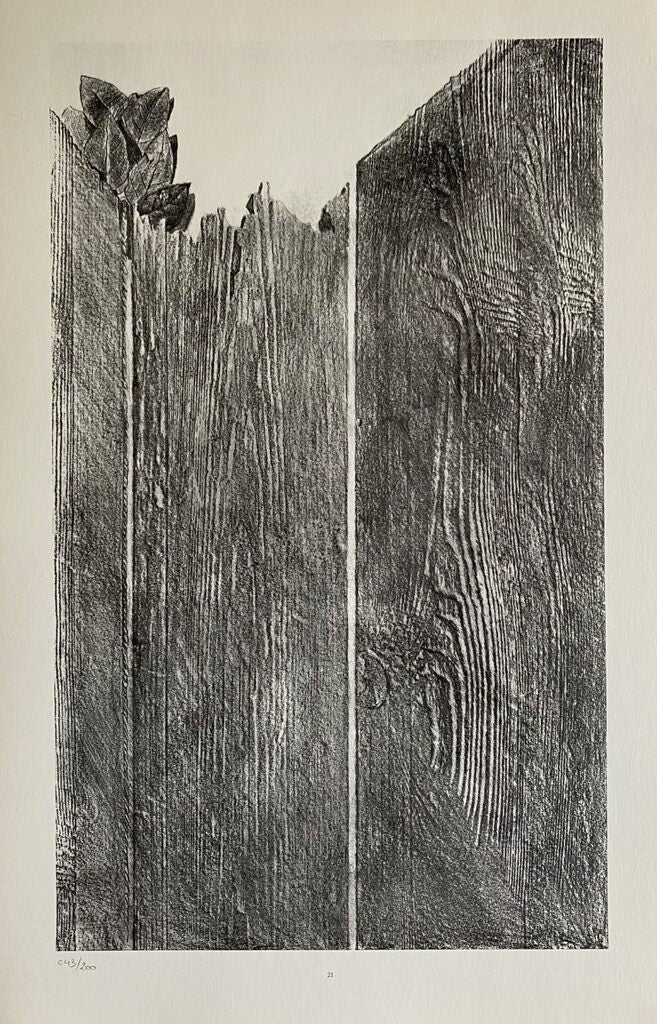 Shaving the Walls (Rasant les murs) by Max Ernst, 1972
