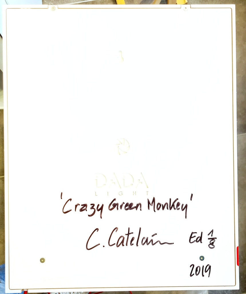 Crazy Green Monkey de Christophe Catelain, 2019 (vue 4)