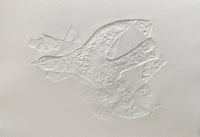 Céphalé de Georges Braque, 1971 (vue 4)