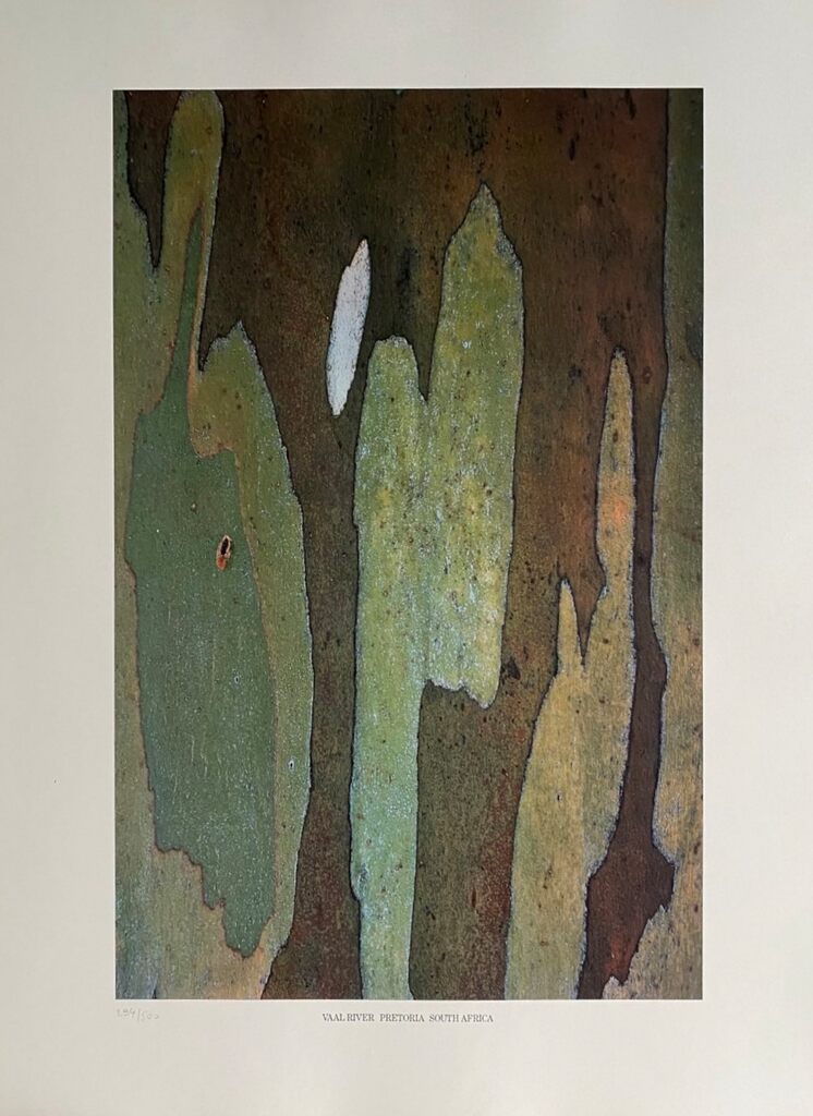 Vaal River, Pretoria, South Africa by Barry Lategan, 1981