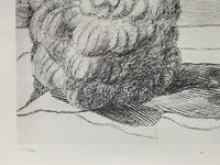Fields of Honor, Flood, Seismic Plants (Les Champs d'honneur, les inondations, les plantes sismiques) de Max Ernst, 1972 (vue 2)