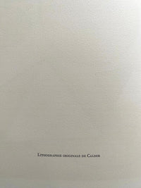 Hommage à San Lazzaro d'Alexander Calder, 1975 (vue 3)